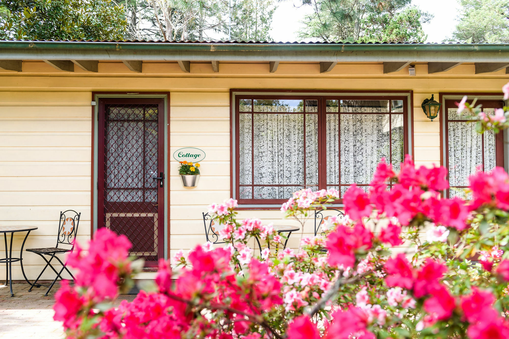 Villa Federation Gardens&Possums Hideaway Blackheath Exterior foto